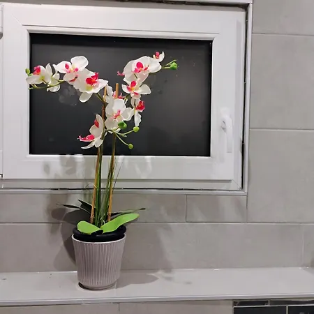 Hl Nrw Apartment