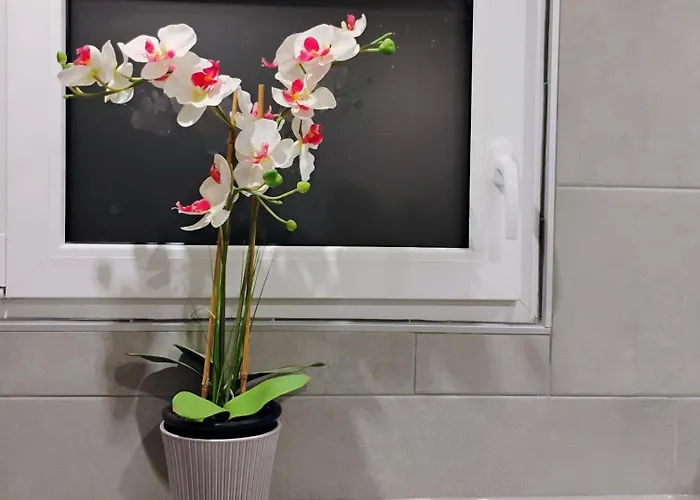 Appartement Hl Nrw *